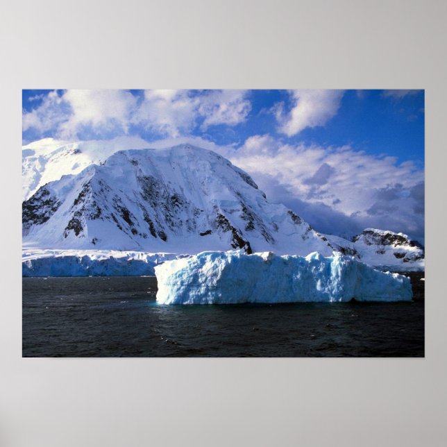 Antarctica Poster (Framsidan)