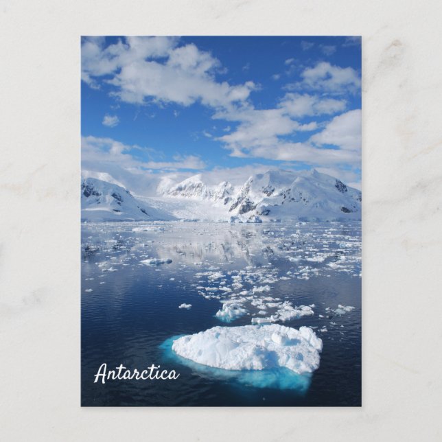 Antarctica vycard vykort (Framsida)