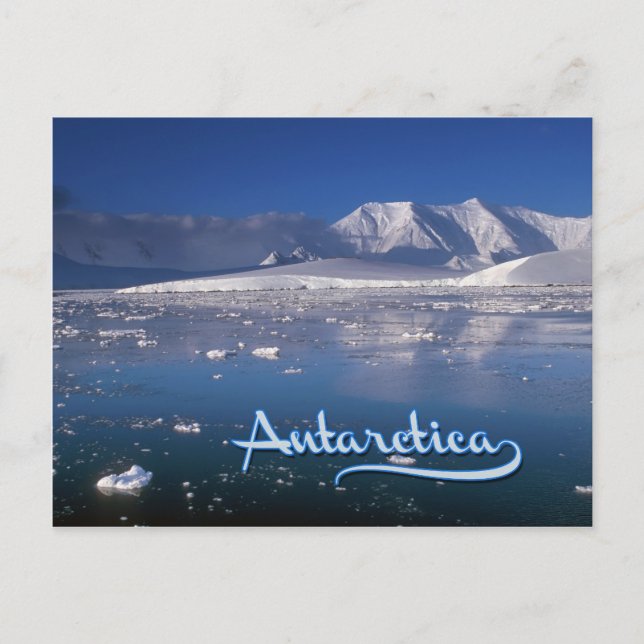 Antarctica Vykort (Framsida)