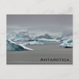 Antarctica Vykort