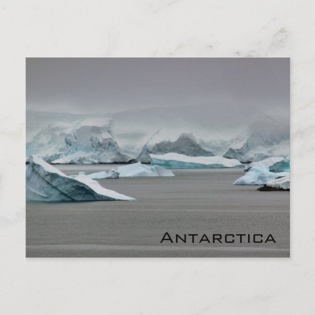 Antarctica Vykort (Framsida)