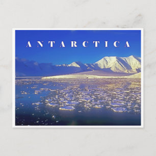 Antarctica Vykort