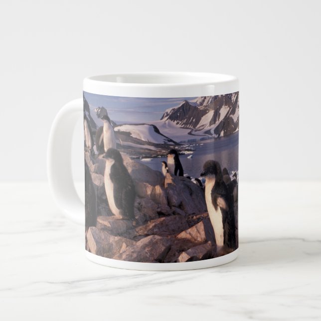 Antarktis, Adelie pingvinungar Jumbo Mugg (Framsida vänster)