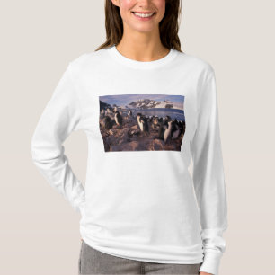 Antarktis, Adelie pingvinungar T-shirt
