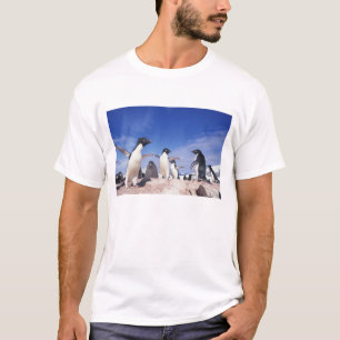 Antarktis, Adeliepingvin Pygoscelis T-shirt