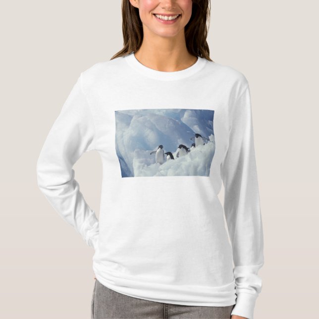 Antarktis. Adeliepingviner T Shirt (Framsida)