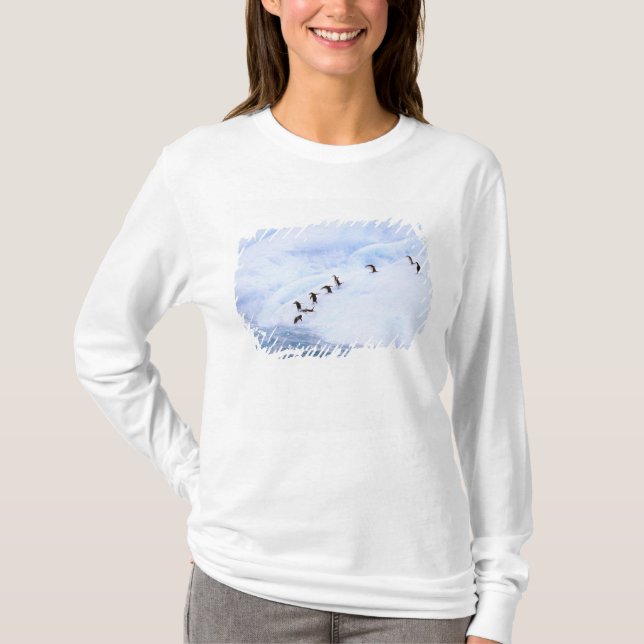 Antarktis, Antarktis Peninsula. Chinstation T-shirt (Framsida)