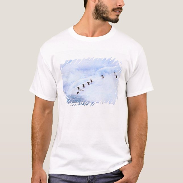 Antarktis, Antarktis Peninsula. Chinstation T-shirt (Framsida)