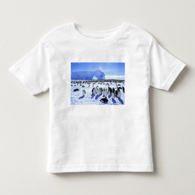 Antarktis, Antarktis Peninsula, WedSea, 5 T Shirt (Framsida)