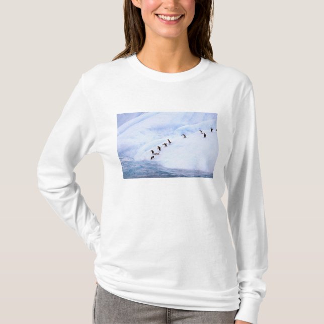 Antarktis, Antarktiska halvön. Strimhopppingvin Tee Shirt (Framsida)