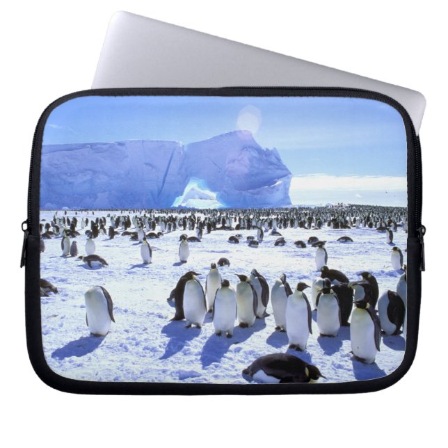 Antarktis, Antarktiska halvön, Weddellhavet, 5 Laptop Fodral (Framsidan)