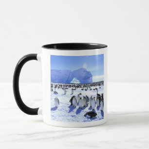 Antarktis, Antarktiska halvön, Weddellhavet, 5 Mugg