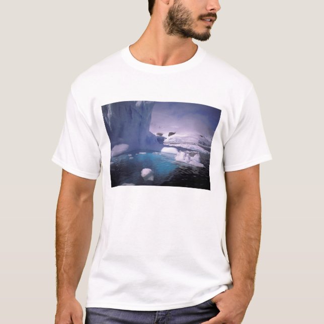 Antarktis. Antarktiska islandskap 2 T Shirt (Framsida)