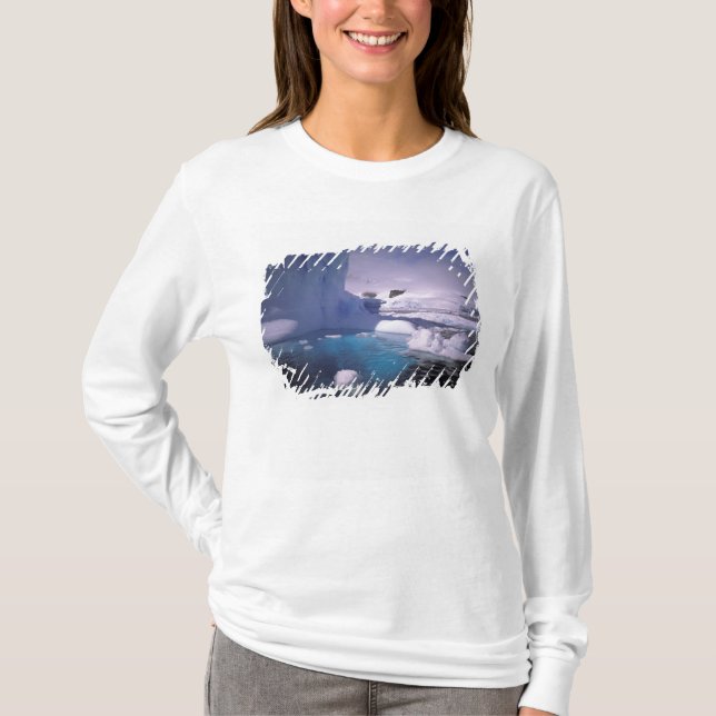 Antarktis. Antarktiska islandskap 2 Tee (Framsida)