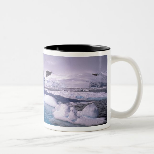 Antarktis. Antarktiska islandskap 2 Två-Tonad Mugg (Höger)