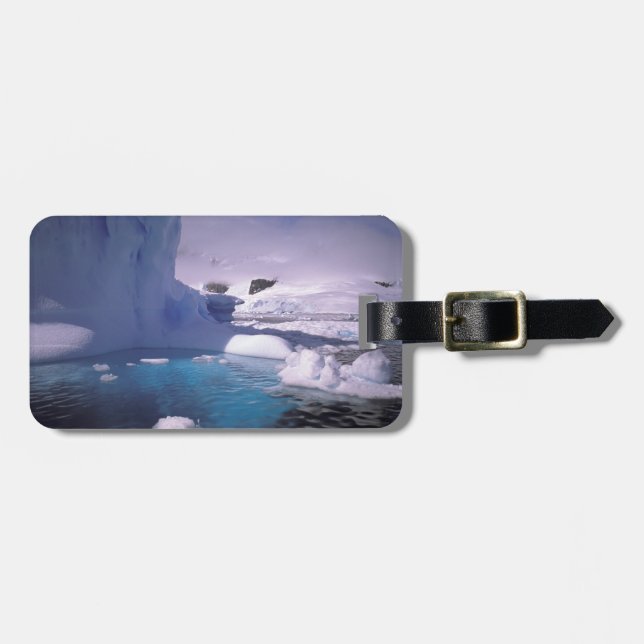 Antarktis. Antarktiskisfär 2 Bagagebricka (Horisontell Framsida)