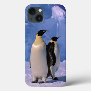 Antarktis, Australian Antarctic Territory, 7