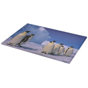 Antarktis, Australian Antarctic Territory, 7