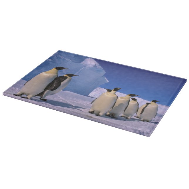 Antarktis, Australian Antarctic Territory, 7 (Hörn)