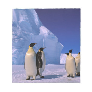 Antarktis, Australian Antarctic Territory, 7 Anteckningsblock
