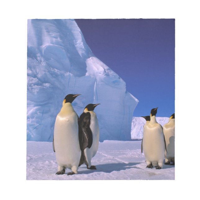 Antarktis, Australian Antarctic Territory, 7 Anteckningsblock (Framsida)