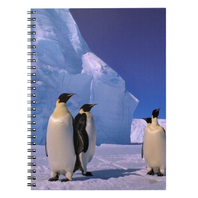 Antarktis, Australian Antarctic Territory, 7 Anteckningsbok Med Spiral (Framsidan)