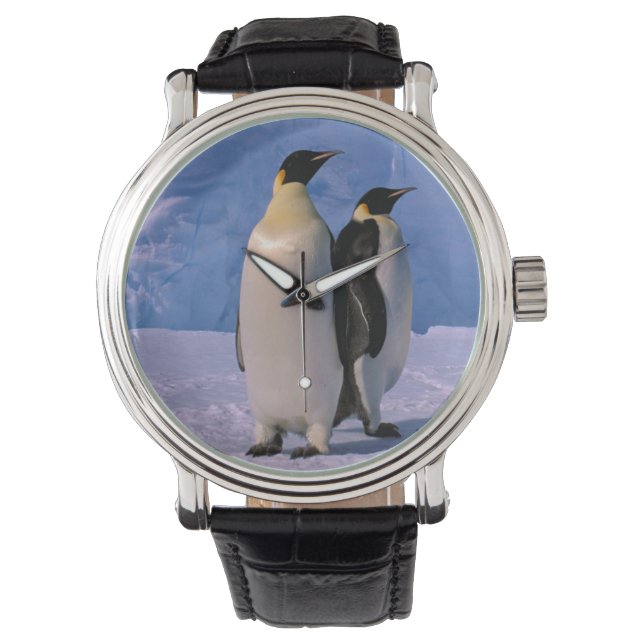 Antarktis, Australian Antarctic Territory, 7 Armbandsur (Framsida)