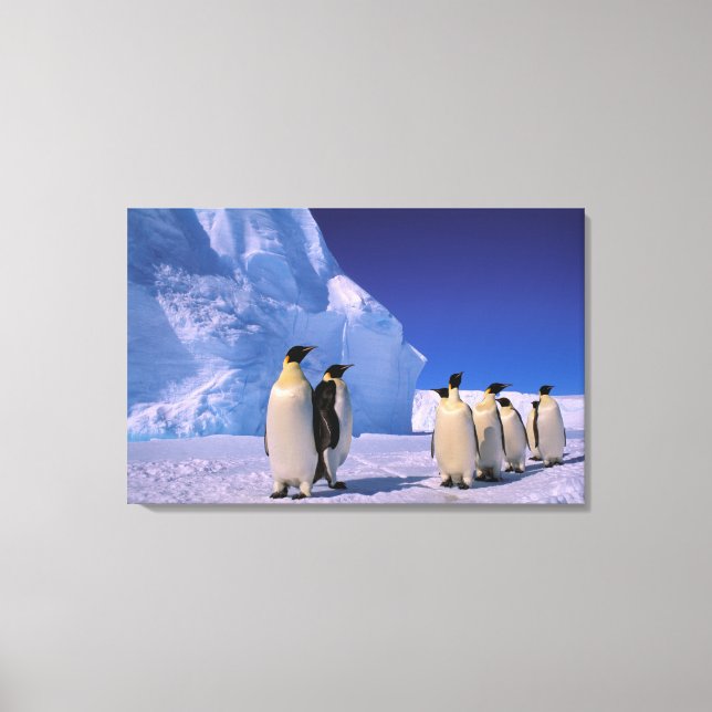Antarktis, Australian Antarctic Territory, 7 Canvastryck (Framsida)