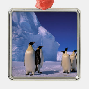 Antarktis, Australian Antarctic Territory, 7 Julgransprydnad Metall