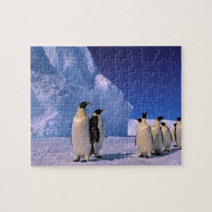 Antarktis, Australian Antarctic Territory, 7 Pussel
