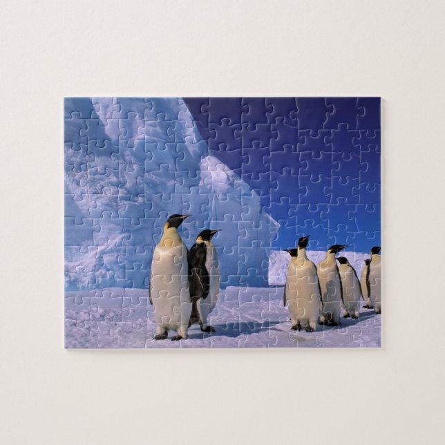 Antarktis, Australian Antarctic Territory, 7 Pussel (Horisontell)