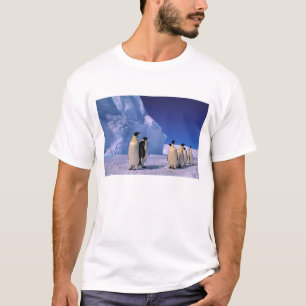 Antarktis, Australian Antarctic Territory, 7 T-shirt