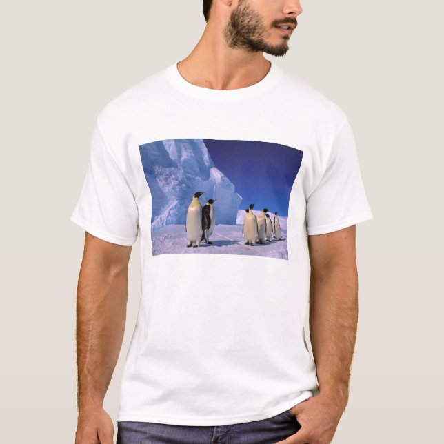 Antarktis, Australian Antarctic Territory, 7 T-shirt (Framsida)