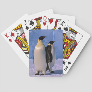 Antarktis, Australiens antarktiska territorium, 7 Spelkort