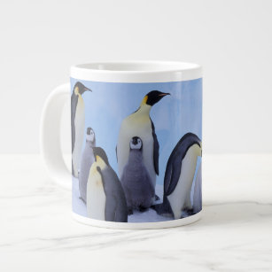Antarktis, Emporer Penguin (Aptenodytes) Jumbo Mugg