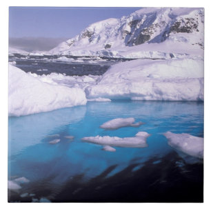 Antarktis. Expedition genom islandskap 2 Kakelplatta