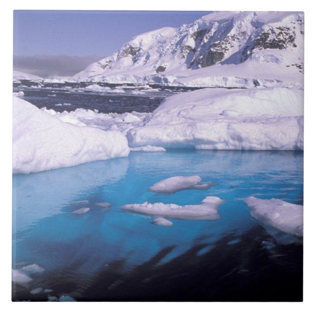 Antarktis. Expedition genom islandskap 2 Kakelplatta (Framsidan)