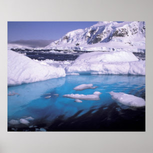Antarktis. Expedition genom islandskap 2 Poster