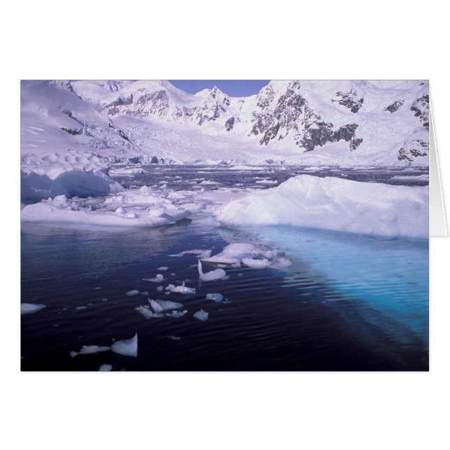 Antarktis. Expedition genom islandskap Hälsningskort (Framsidan Horizontal)