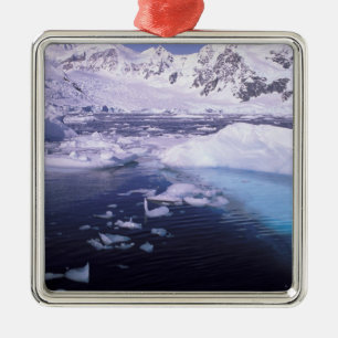 Antarktis. Expedition genom islandskap Julgransprydnad Metall