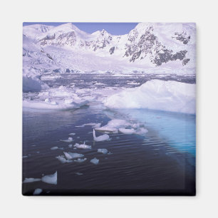 Antarktis. Expedition genom islandskap Magnet