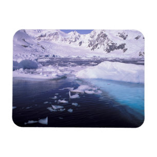 Antarktis. Expedition genom islandskap Magnet