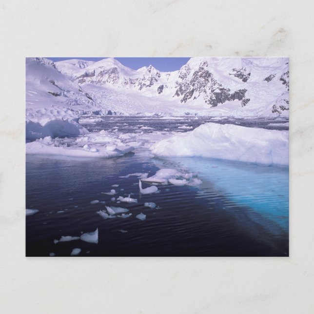 Antarktis. Expedition genom islandskap Vykort (Framsida)