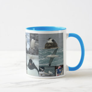 Antarktis fåglar mugg