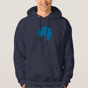 Antarktis flaggakarta hoodie