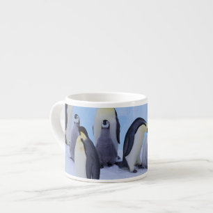 Antarktis, Kejsarpingviner Espressomugg