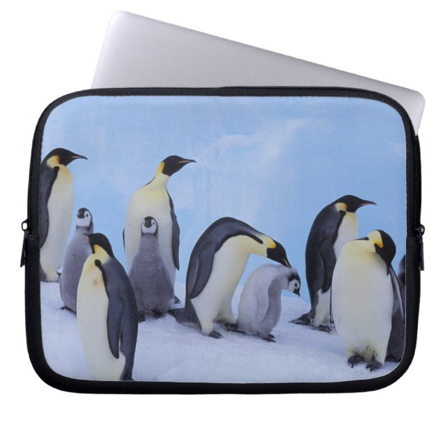 Antarktis, Kejsarpingviner Laptop Sleeve (Framsidan)