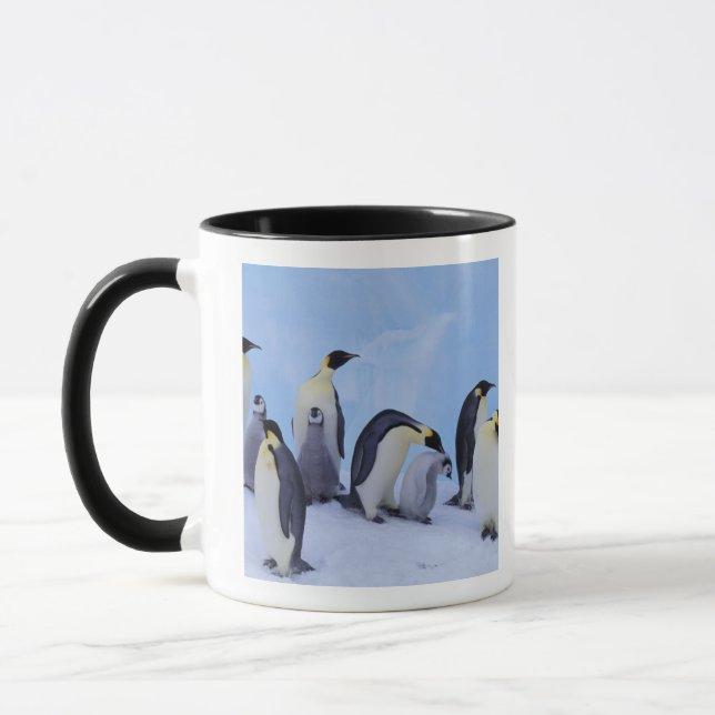 Antarktis, Kejsarpingviner Mugg (Vänster)