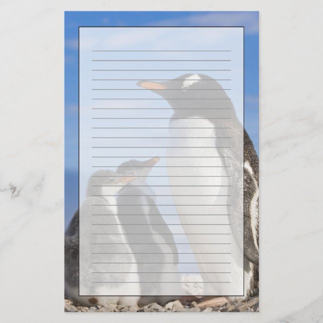 Antarktis, Neko Cove (hamn). Gentoo pingvin 2 Brevpapper (Framsida)