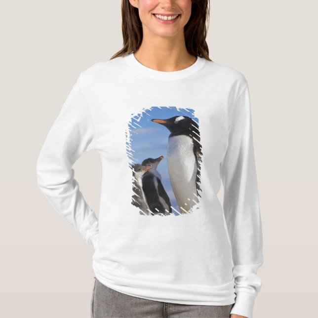 Antarktis, Neko Cove (hamn). Gentoo pingvin 2 T Shirt (Framsida)